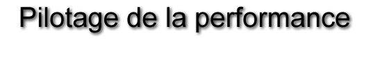Pilotage de la performance