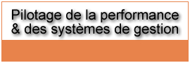 pilotage de la performance et des syst�mes de gestion
