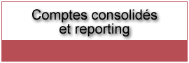 Comptes consolid�s & reporting