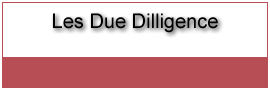 les Due Dilligence