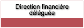 direction financi�re d�l�gu�e
