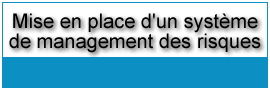 mise en place d'un syst�me de management des risques