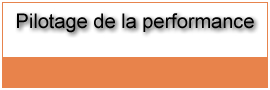 Pilotage de la performance