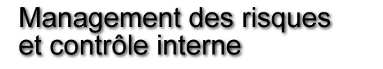 management des risques et contr�le interne